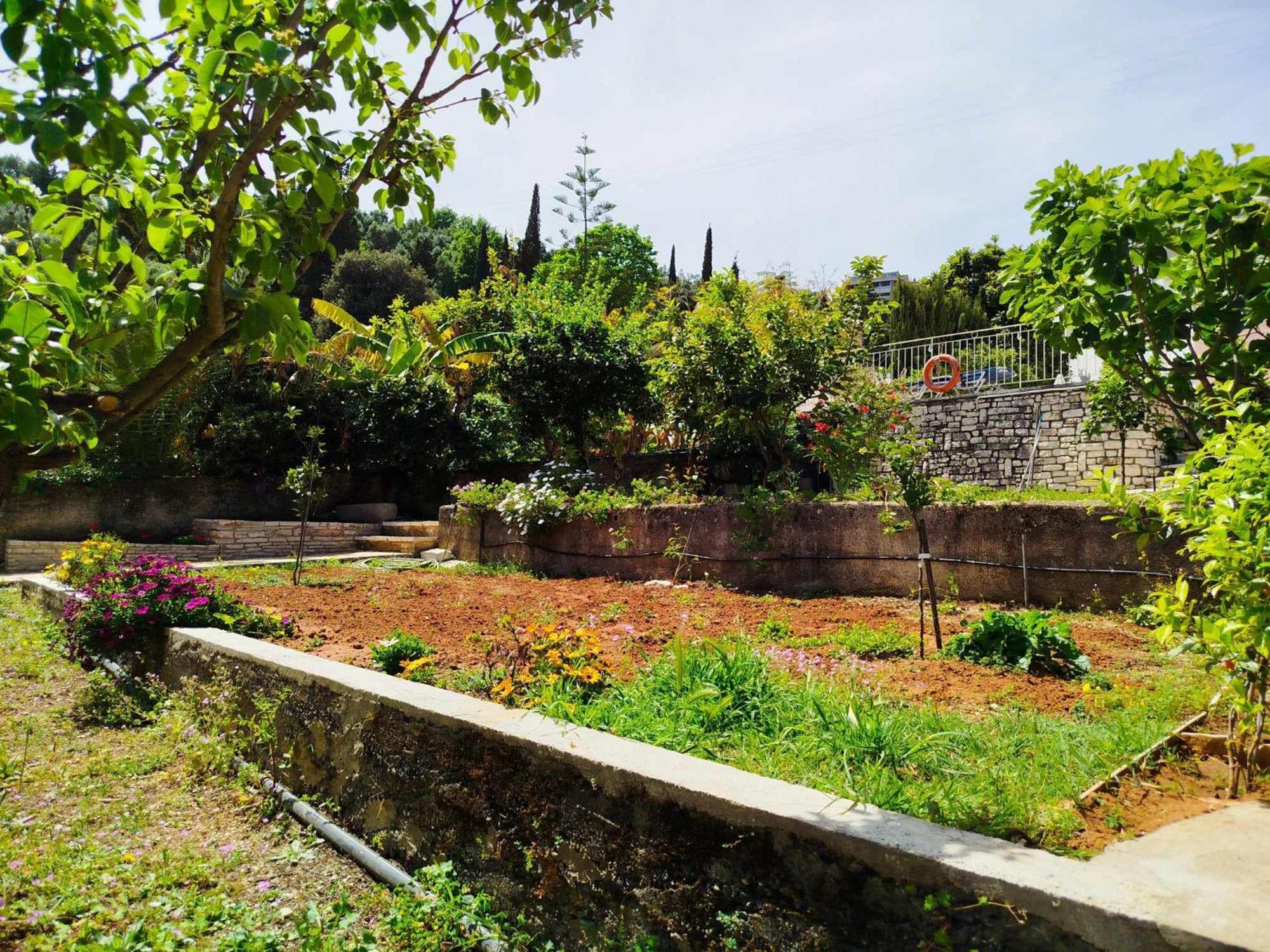 Villa Lemonia Καλάμι Εξωτερικό φωτογραφία